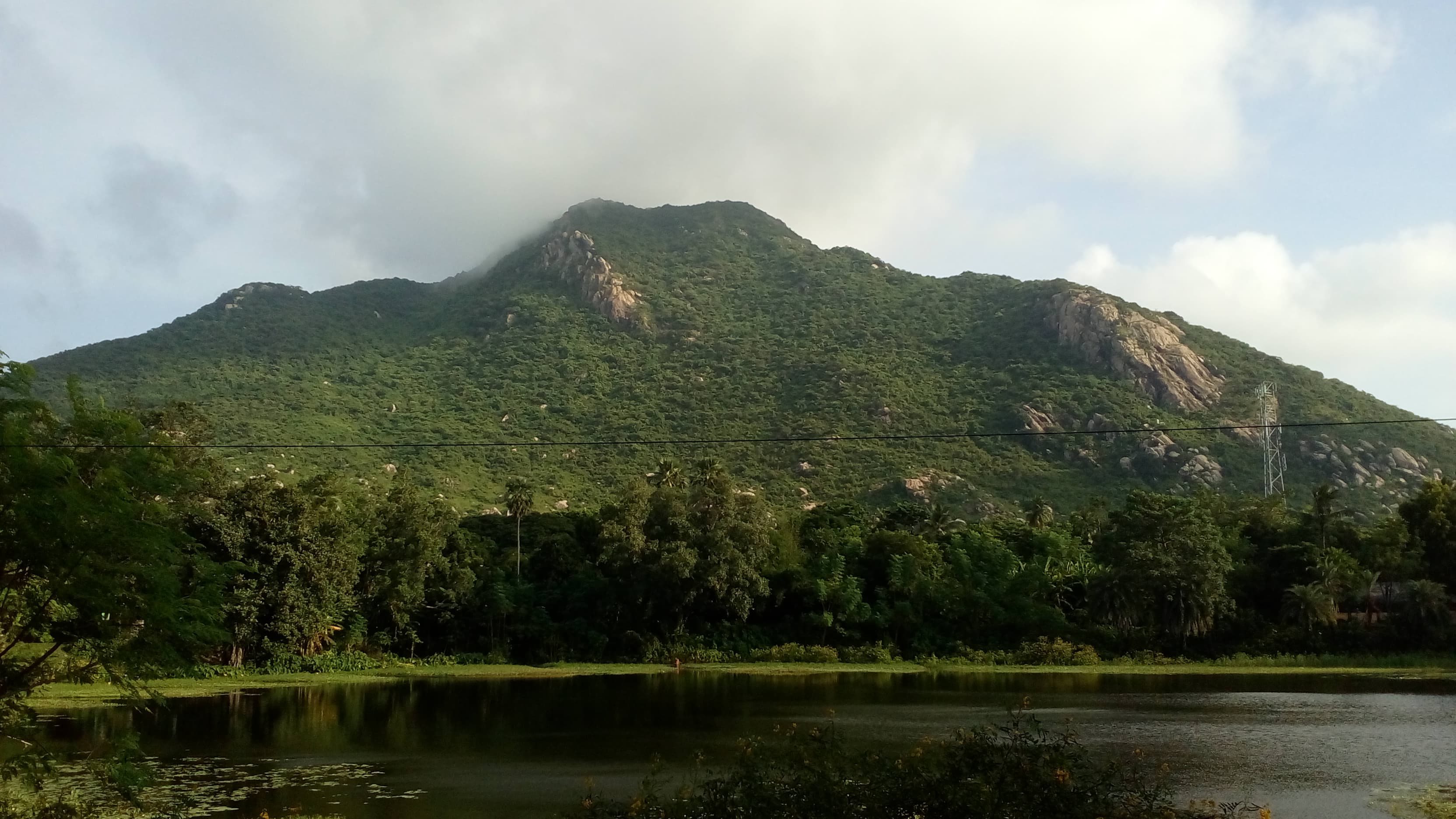 Dense forest in Simlipal