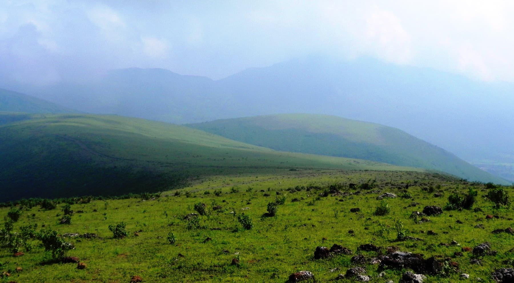 Koraput