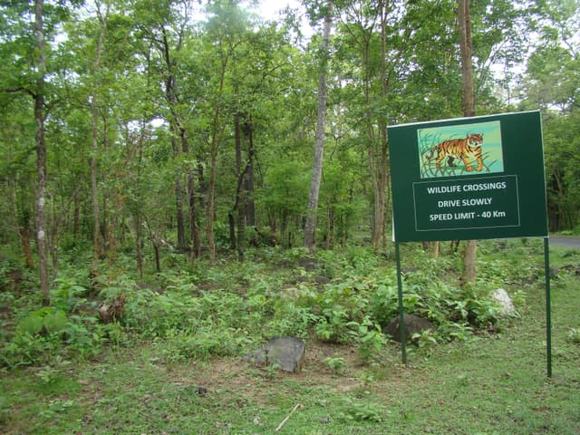 Angul